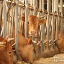 여물소농장 이미지