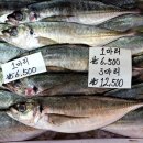 일운농업협동조합 이미지