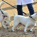 광주광역시 우치동물원 동물병원 이미지