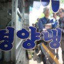 평양냉면 앞 이미지