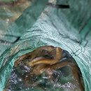 바람흔적펜션 이미지