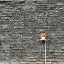 성베드로의집 | 로마 여행 필수 코스 바티칸 투어 예약 꿀팁(소요시간, 성베드로대성당 입장 후기)