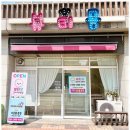 선사애견 이미지