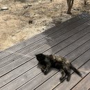 전주현대옥김제점 이미지