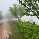 VIP세차경정비 이미지