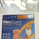 연지약국 이미지