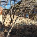 영산신씨 초당공파 이미지