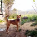 계룡모터스 이미지