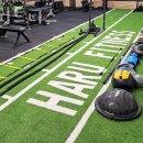 하루 피트니스 이미지