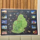 청담케이팜약국 | W7. 결혼일기 - 신혼여행 예약/ 팜투어 수원점/ 8박 11일 두바이 모리셔스 여행