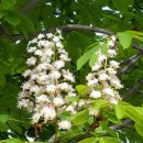 간데메공원 이미지