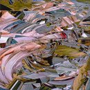 솔로몬보육원 | 해외 입양아 진 마이어슨이 작가 된 이유