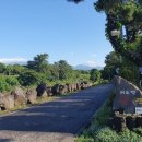 쇠소깍 천일펜션 이미지