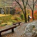 증심사길 이미지