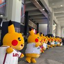 K-1 PC방 3호점 | [사직야구장 직관] 기아팬의 사직야구장 원정 후기 : 네이버 클립존 121블록 3열/ 26년 포켓몬데이 후기