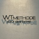 대우디오슈페리움(아)경로당 | 출산 후 탈모 관리 시작, WT메소드 서울대점 두피케어 후기