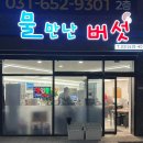 물만난 버섯 이미지