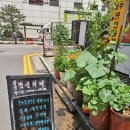 마두차돌백이 이미지