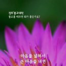 불교를 배우면 뭐가 좋은가요? 생각을 울타리를 벗어나, 대 자유인이 됩니다. 법륜스님 이미지