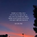 세인부동산중개사무소 이미지