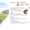 커먼 브리즈
