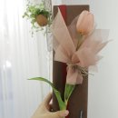 마르멜라든