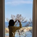 경주 감포 펜션 감성숙소 | 연에르모쏘 별채 C1 내돈내산 찐 추천 후기 ❤️