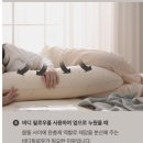 (주)진셍앤오가닉 | 슬립앤슬립 오가닉 임산부 바디필로우 추천, 여름에도 땀 안 차고 꿀잠 잠
