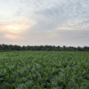 준하농장 이미지