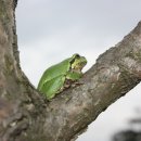 이슬공원 이미지