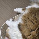 봉계13길 26-1, (봉방동) | 26.01