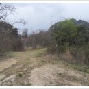 오동골1 이미지