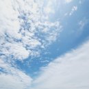 CoCo멍(코코멍) 이미지