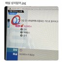 [월말결산-24.06] How many lovers do I go through to find you