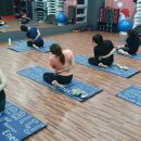 지오짐플러스 이미지