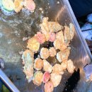 단골전집 이미지