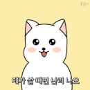 더핏다이어트