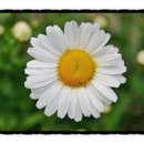 성주한의원 이미지