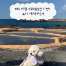 소금빌레 | 제주 애월 구엄리돌염전 가는법 주차 애견동반후기