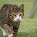 스테이 아이올라 이미지