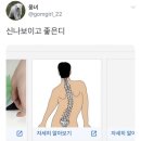 (주)메리크리스마스 이미지