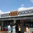 pet64거6000 이미지