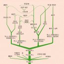 Re:Re:무술년 맞이 개의 과학; 늑대는 어떻게 개가 되었나 이미지