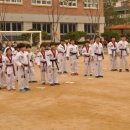 경희대다솔태권도장 이미지