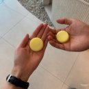 밴스의원 | 대전 둔산동 밴스의원 제모 솔직 후기! 얼굴·팔 관리 내돈내산 체험기✨(통증·효과, 주차정보)