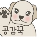 반자주 - 창원시 진해구 냉천로 156 | 반자주