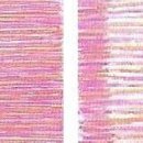 염기룡한의원 이미지