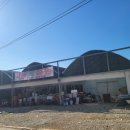 샤론  꽃  화원 이미지