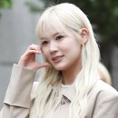 레나비 이미지