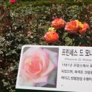 윗골 이미지